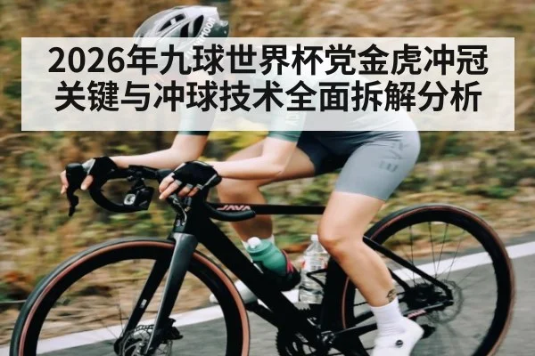 2026年九球世界杯党金虎冲冠关键与冲球技术全面拆解分析